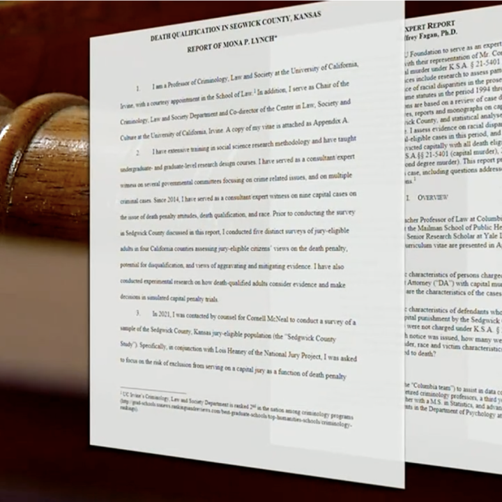 Screengrab of news video showing paper copies of expert testimony for the trial