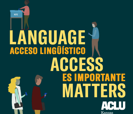 language access